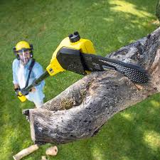 Best Lawn Watering Services  in Taos, NM